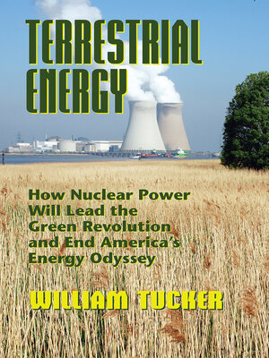cover image of Terrestrial Energy